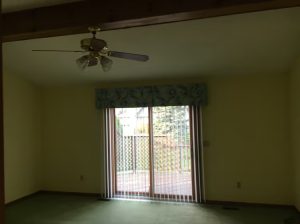 Empty room featuring a green carpet and a ceiling fan, creating a calm and spacious atmosphere.